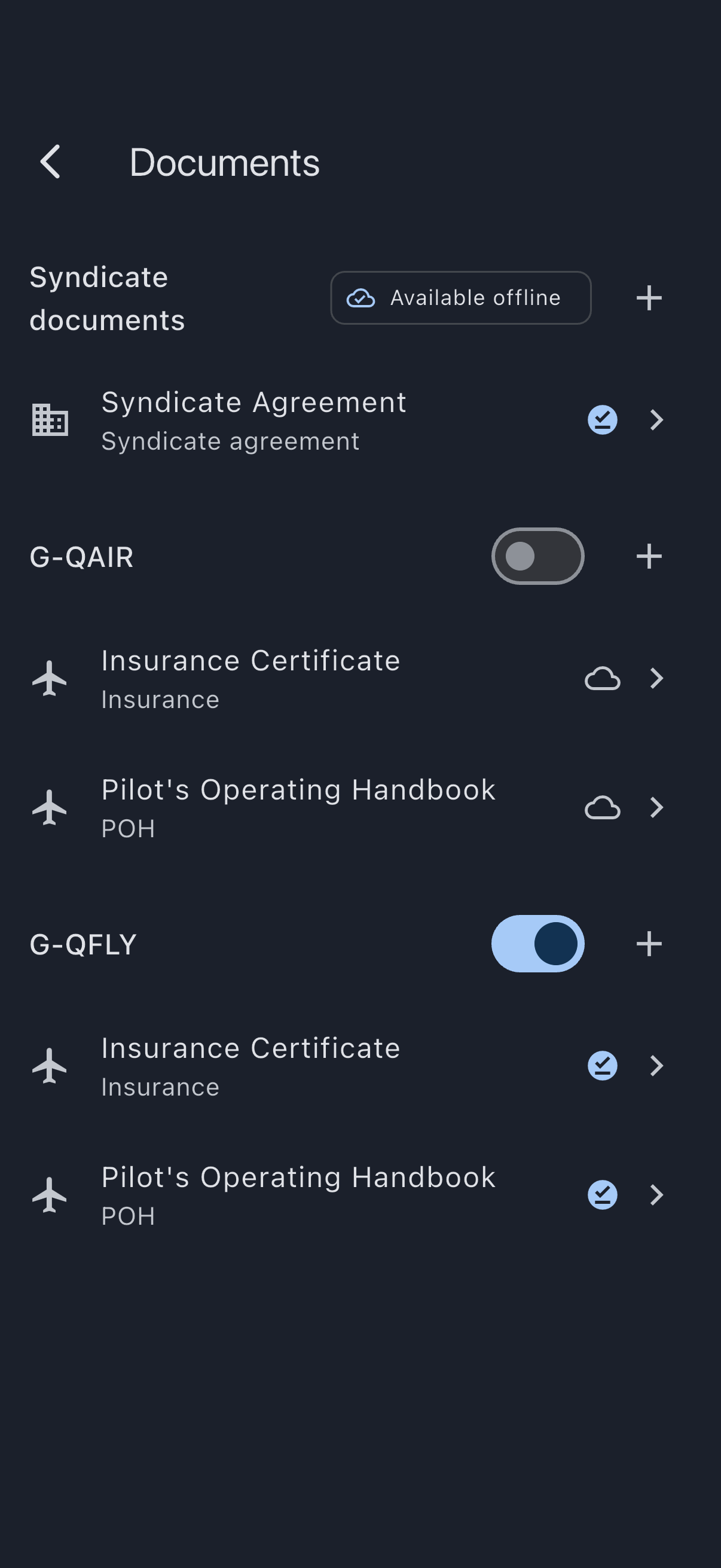 The document library of a two-aircraft syndicate, each aircraft section header carrying an unlabelled switch, one turned off and one turned on